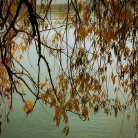 Осенний занавес над рекой. :: Татьяна Помогалова