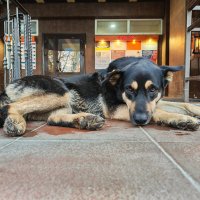 Печаль :: Денис Бочкарёв