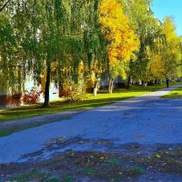 Чебоксары. Аллея улицы Хузангая осенью. :: Пётр Чернега