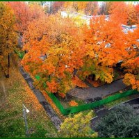 Краски осени :: Ольга Довженко