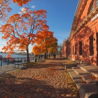 *** :: Сергей Григорьев