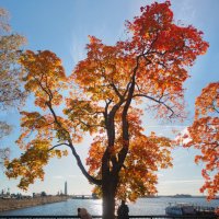 *** :: Сергей Григорьев *** :: Сергей Григорьев