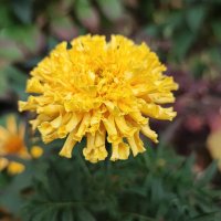 ,,, :: Сергей Тимоновский