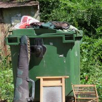 "Семейные ценности". :: Егор Бабанов