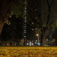 Осенний Вечер в Городе :: юрий поляков
