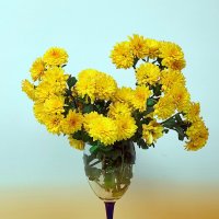 Красота осенняя :: Светлана Ищенко