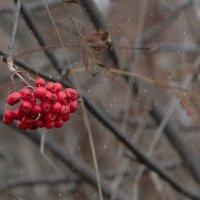 Настроение осени :: Роман никандров