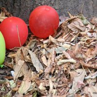 праздник закончился :: Олег Лукьянов праздник закончился :: Олег Лукьянов