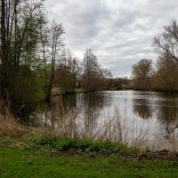 В начале весны... :: Николай Гирш