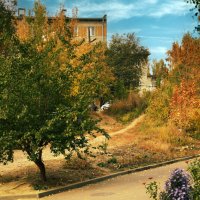 **** :: Анатолий Уткин