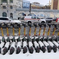 МЁРТВЫЙ СЕЗОН :: Александр Копалов