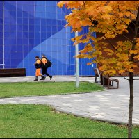 Краски осени 5 :: Сергей Премонишын