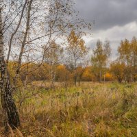 Палитра октября... :: Владимир Жданов