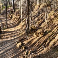 *** :: Борис Руднев