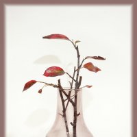 Осенний этюд. :: Лилия *