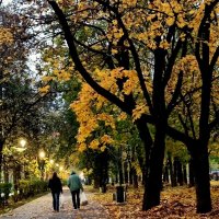 Проходнячковое :: Татьяна [Sumtime]