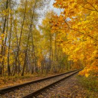 Дорога в осень... :: Владимир Жданов