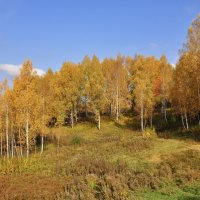 Посадка :: Александр Конов