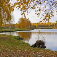 Октябрь на пруду :: Сергей Ц