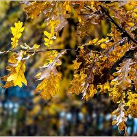 Осень в городке... :: Aquarius - Сергей Осень в городке... :: Aquarius - Сергей