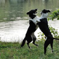 Танец :: Иван Генералов