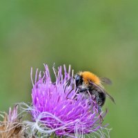 Тёплый октябрь. :: Валентина  Нефёдова 