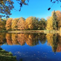 Осень :: Сапсан 