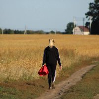 Дорога в осень... :: Виктория 