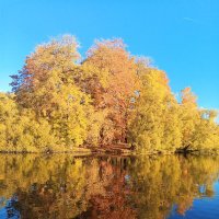 Осень :: Сапсан 