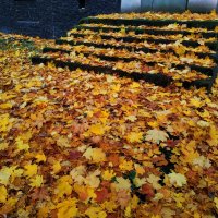 Золотая! :: Андрей Лукьянов Золотая! :: Андрей Лукьянов