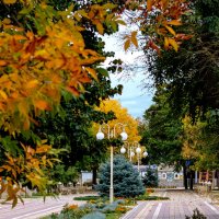 Осень на Кубани 10.10.25 г. :: Вадим Федотов