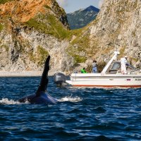 ... :: Жора Житников