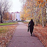 Просто осенний этюд! :: Владимир Просто осенний этюд! :: Владимир