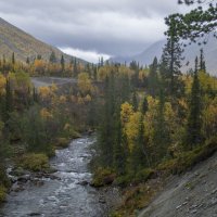 Заполярная осень....... :: Юрий Цыплятников