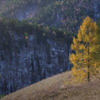 * :: Александр Иванов