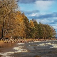 *** :: Сергей  Могутов 