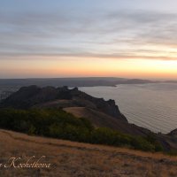 Природа Крыма :: Amazing Cosmea