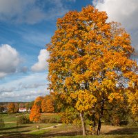*** :: Геннадий Порохов *** :: Геннадий Порохов