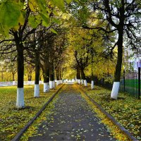 Чебоксары. Дорожка сквера им. Константина Иванова октябрьским днём. :: Пётр Чернега