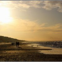 *** :: Aleksandr Gal *** :: Aleksandr Gal