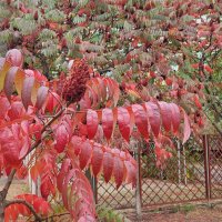 ,,, :: Сергей Тимоновский ,,, :: Сергей Тимоновский