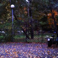 Октябрь. :: Василий Палий