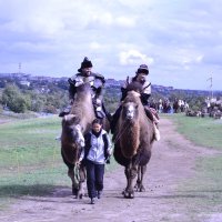 Батый. :: Виктор Батый. :: Виктор