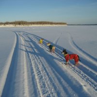 На протоке :: Anna Ivanova