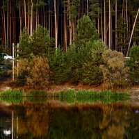 Красота осени :: Натали Королева