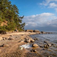 **** :: Елизавета .