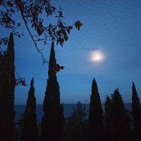 Полнолуние :: Галина 