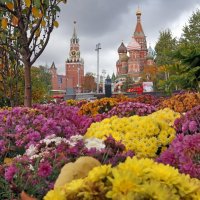 Зарядье 12 октября :: Михаил Бибичков