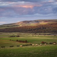 Вечерний пейзаж :: Алекс Римский