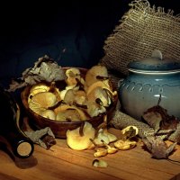 Натюрморт с зимним опенком (Flammulina velutipes) :: Евгений Тарасов 